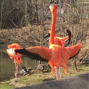 Meet your Posher, Trisha